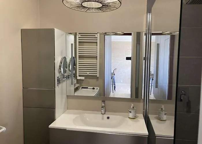 Apartman Luxueux Climatise Au Lavandou - Fr-1-308-179